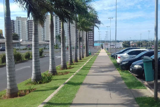 Manutenção de áreas verdes no Shopping Jaraguá realizada pela Sangra D'Água Araraquara